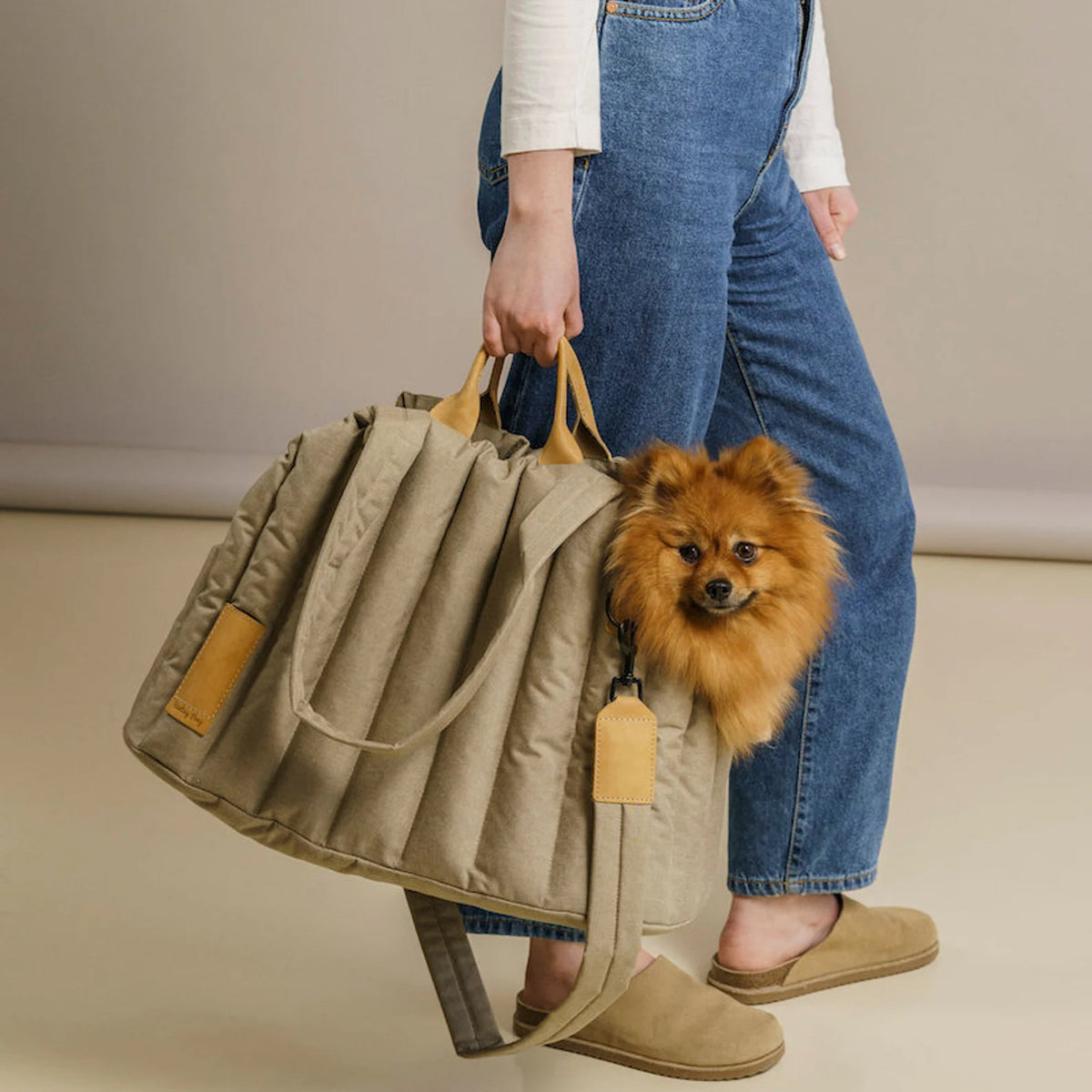 Lightweight Waterproof Pet Carrier Handbag for Dogs and Cats - Stylish Portable Accessory