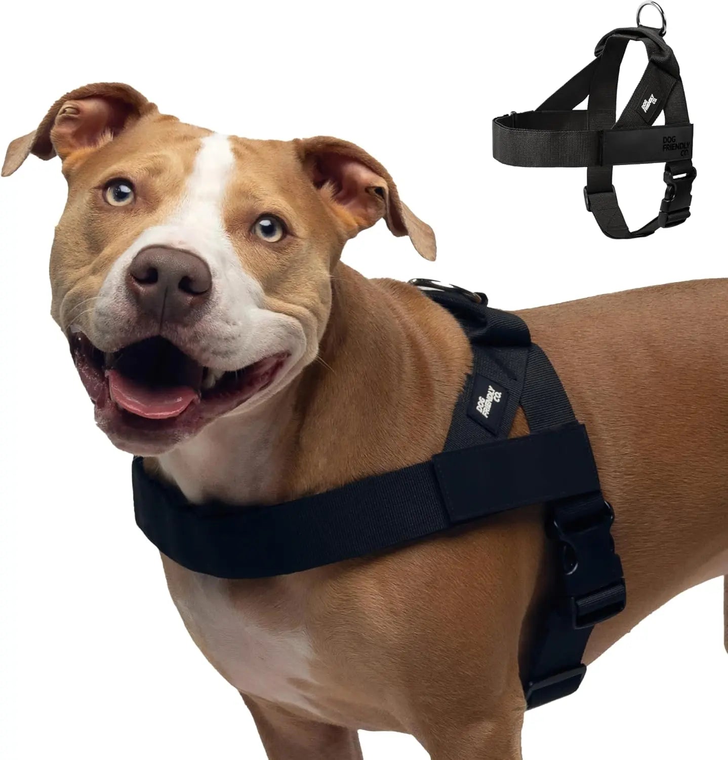 Dog Friendly Co. Harness - Easy to Fit No-Pull Design - Safe Secure and Comfortable - Ideal for All Dogs - Chafe-Resistant Lightweight Straps - Adjustable Straps for Perfect Fit