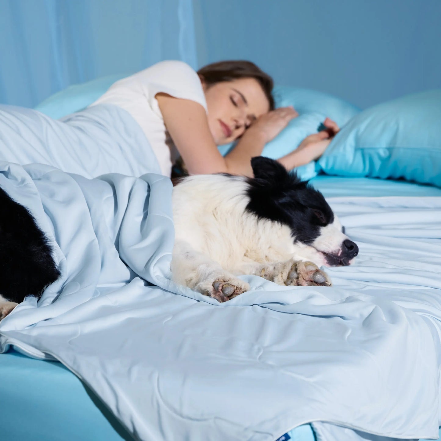 Bedsure Cooling Dog Blanket - Keeps Pets Cool, Lightweight Design, Breathable & Washable