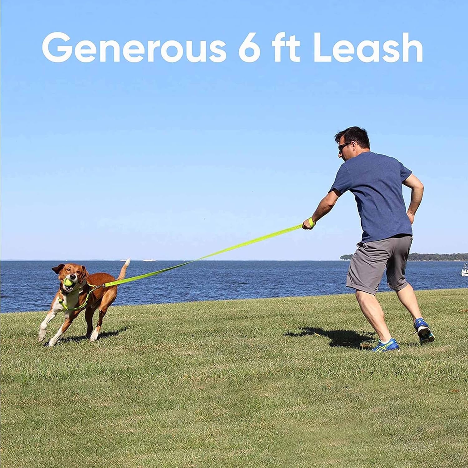 Custom Embroidered 6 Ft Green Nylon Dog Leash for Small Breeds - XS/S Size with Name and Phone Number Option