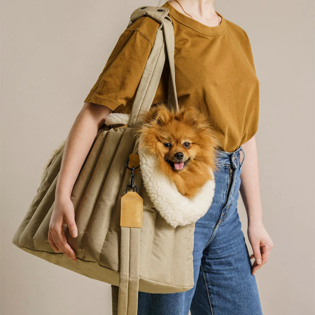 Lightweight Waterproof Pet Carrier Handbag for Dogs and Cats - Stylish Portable Accessory