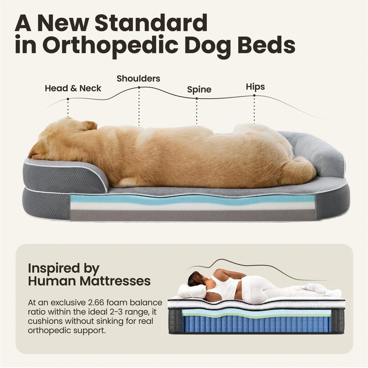 Lesure Realortho Orthopedic Dog Bed for Large and Senior Dogs - Premium Memory Foam with Waterproof Washable Cover for Joint Support and Comfort