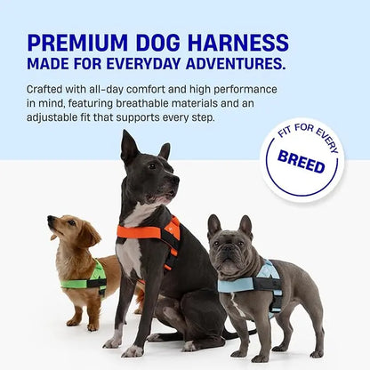 Dog Friendly Co. Harness - Easy to Fit No-Pull Design - Safe Secure and Comfortable - Ideal for All Dogs - Chafe-Resistant Lightweight Straps - Adjustable Straps for Perfect Fit