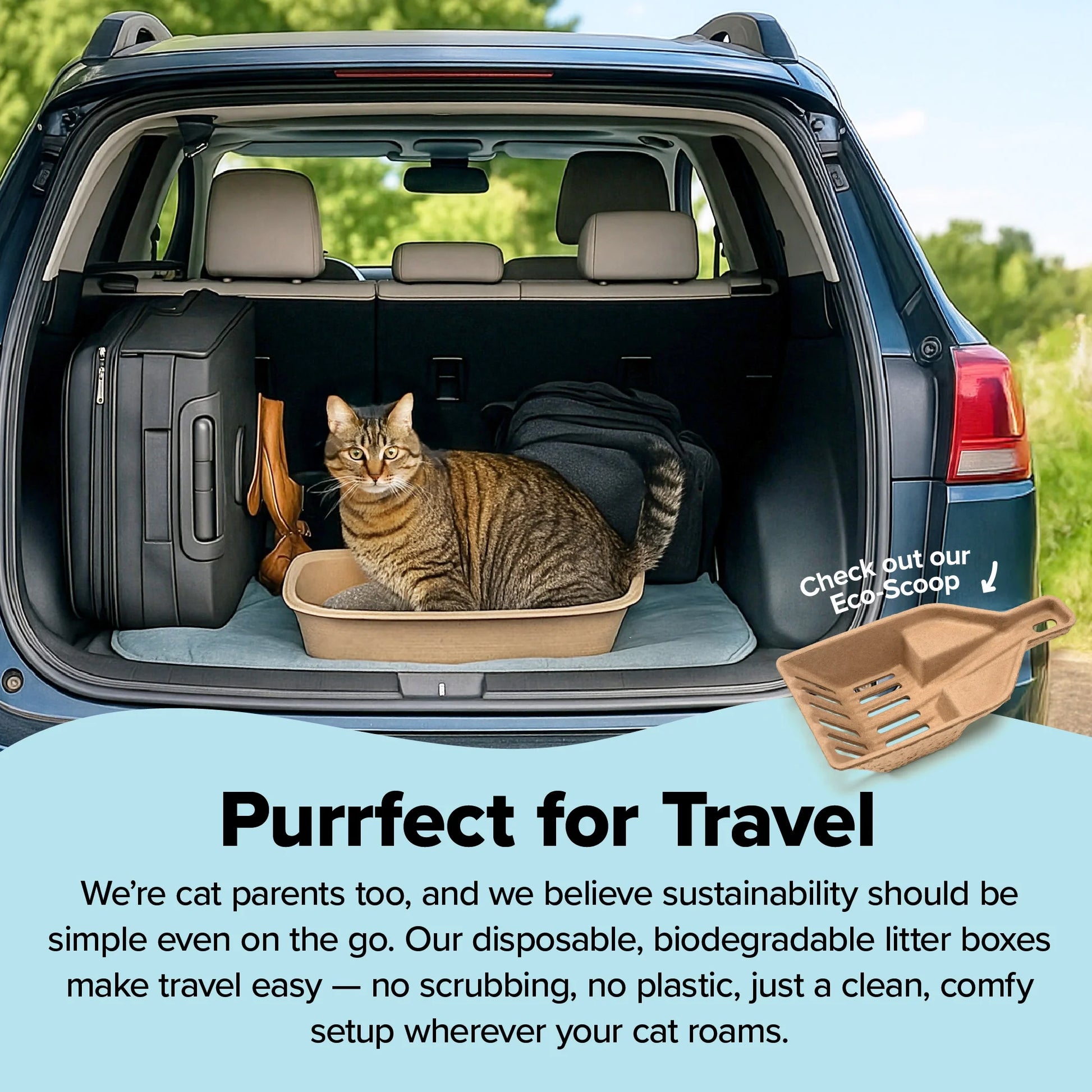 Eco-Friendly Large Cat Sifter Litter Box with Scoop - Set of 6