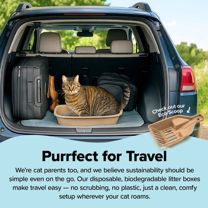 Eco-Friendly Large Cat Sifter Litter Box with Scoop - Set of 6