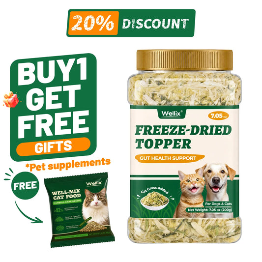 Wellix Dog&Cat Food Topper - Cat Grass Treats for Haiball Treament - Chicken Flavor Freeze Dried Cat Treats - Low Calorie Training Treats for Dogs&Cat 7.5Oz,Back to School