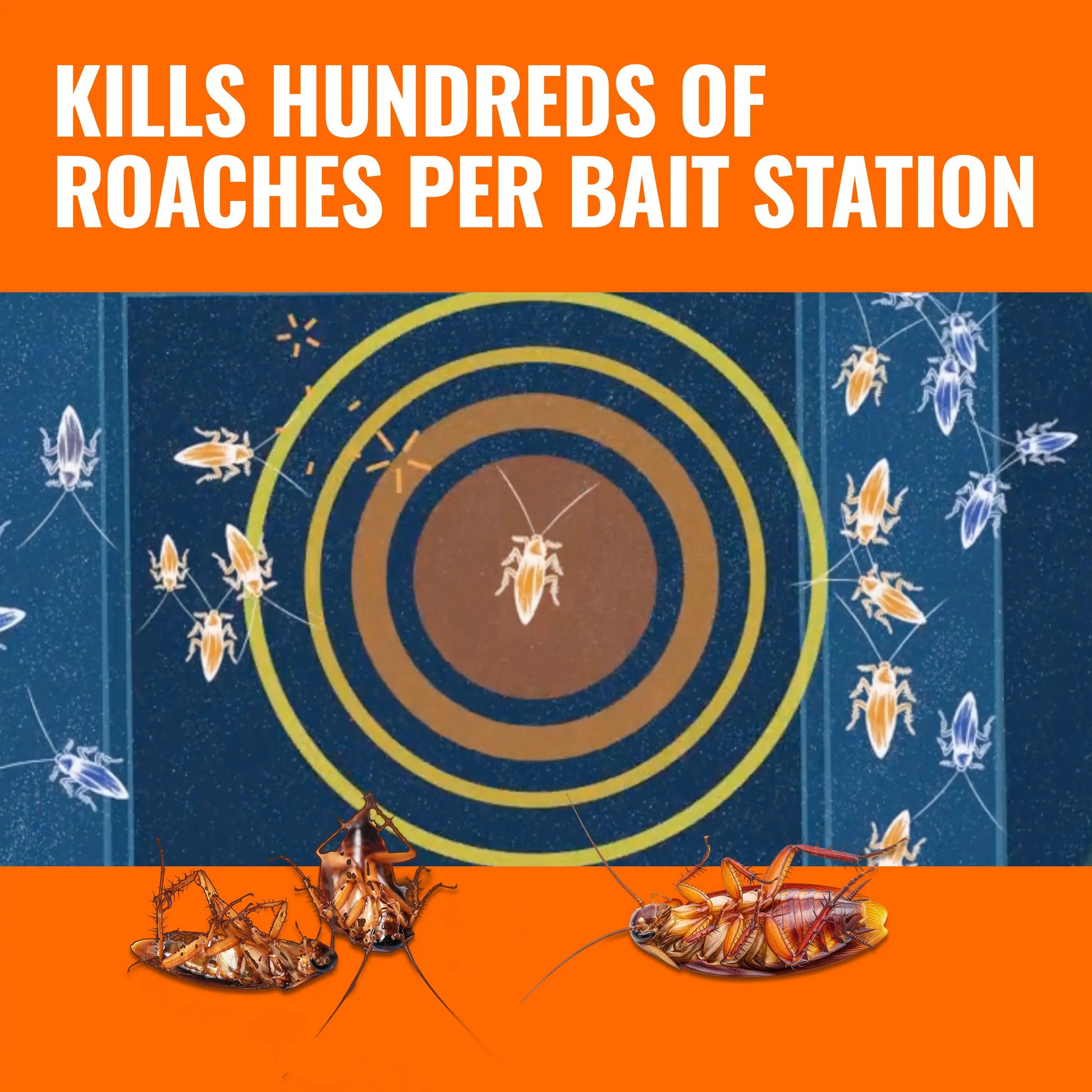 TERRO T506 No-Mess Roach Killer Gel Bait Stations, 6 Ready-To-Use Roach Baits, Powerful Cockroach Killer for German, American & Oriental Roaches, Long-Lasting Indoor & Outdoor Roach Control