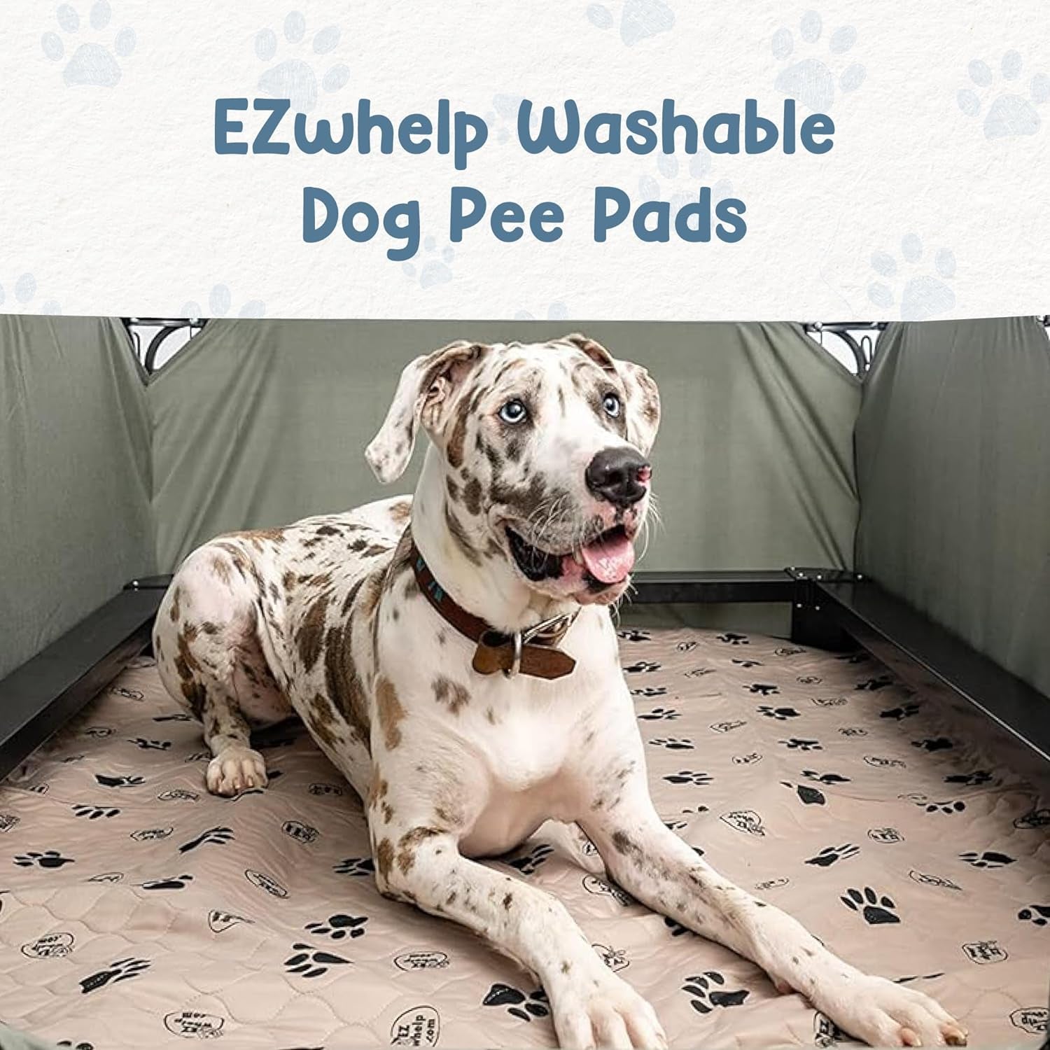 Reusable Washable Dog Pee Pads - Waterproof 24"x36" Mat, 2-Pack for Potty Training and Whelping with Rounded Corners