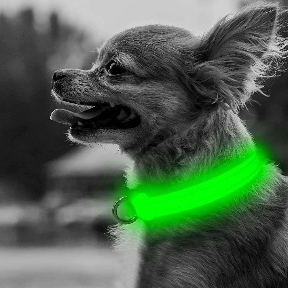Adjustable Rechargeable LED Collar for Small Dogs and Cats - Lightweight Reflective Nylon, 8.5-11.8 Inches, Green, with Two Flash Modes for Enhanced Night Safety