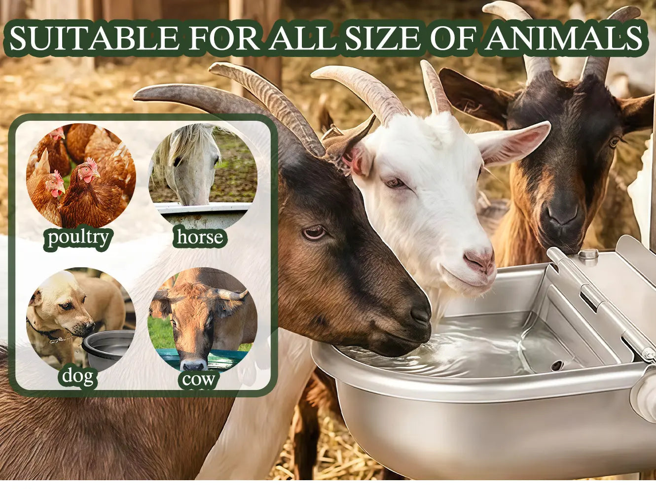 Stainless Steel Automatic Dog Waterer with Float Valve - Self-Filling No-Spill Pet Water Fountain for Outdoor Dogs and Livestock