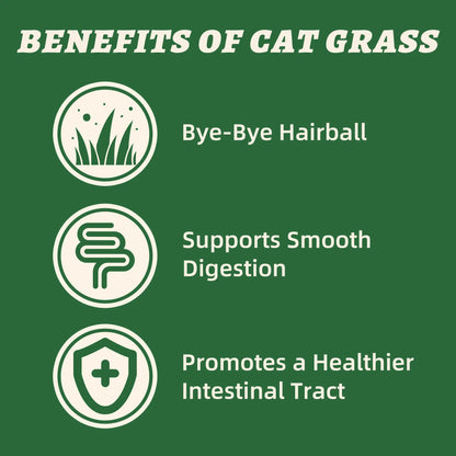 Wellix Dog&Cat Food Topper - Cat Grass Treats for Haiball Treament - Chicken Flavor Freeze Dried Cat Treats - Low Calorie Training Treats for Dogs&Cat 7.5Oz,Back to School