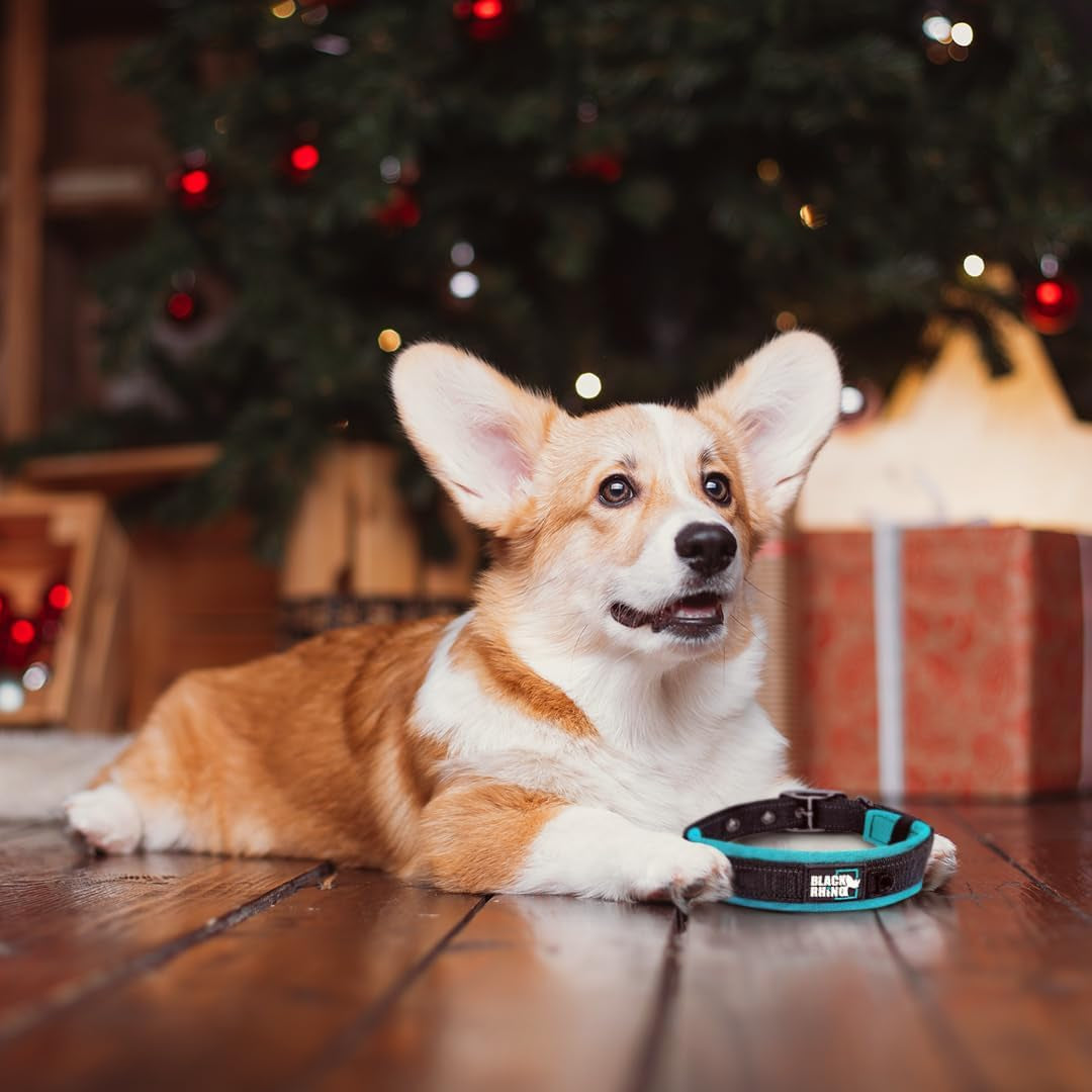 Adjustable Reflective Heavy-Duty Dog Collar for Medium Dogs with Ultra-Soft Neoprene Padding - Weatherproof and Durable - Perfect for Active Dogs - Blue and Gray