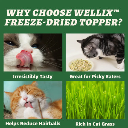 Wellix Dog&Cat Food Topper - Cat Grass Treats for Haiball Treament - Chicken Flavor Freeze Dried Cat Treats - Low Calorie Training Treats for Dogs&Cat 7.5Oz,Back to School