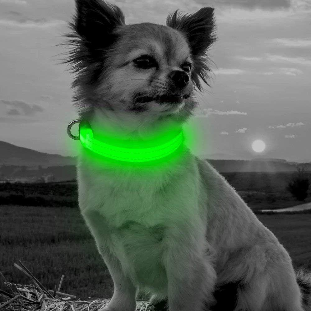 Adjustable Rechargeable LED Collar for Small Dogs and Cats - Lightweight Reflective Nylon, 8.5-11.8 Inches, Green, with Two Flash Modes for Enhanced Night Safety