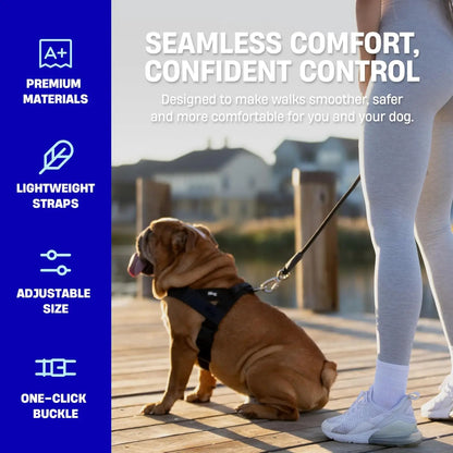 Dog Friendly Co. Harness - Easy to Fit No-Pull Design - Safe Secure and Comfortable - Ideal for All Dogs - Chafe-Resistant Lightweight Straps - Adjustable Straps for Perfect Fit