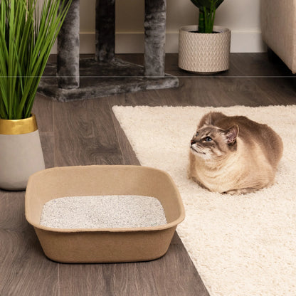 Eco-Friendly Large Cat Sifter Litter Box with Scoop - Set of 6