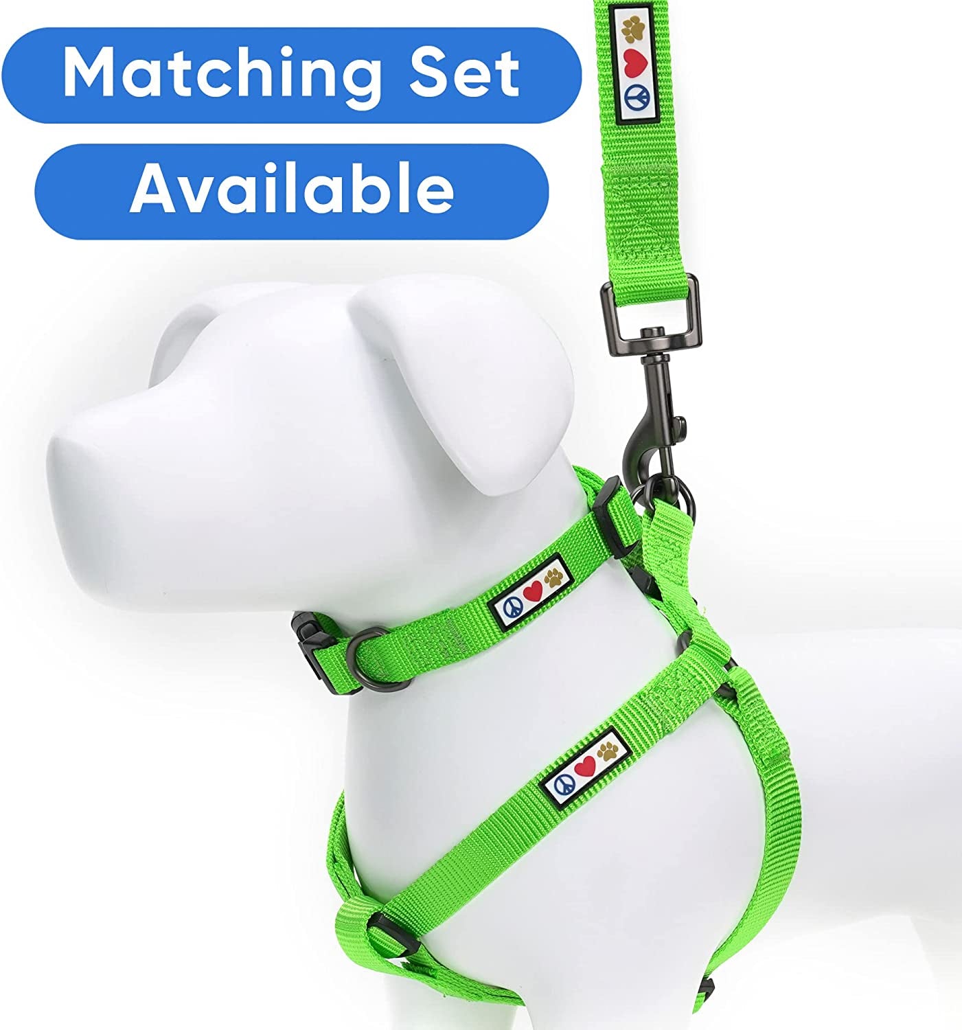 Custom Embroidered 6 Ft Green Nylon Dog Leash for Small Breeds - XS/S Size with Name and Phone Number Option