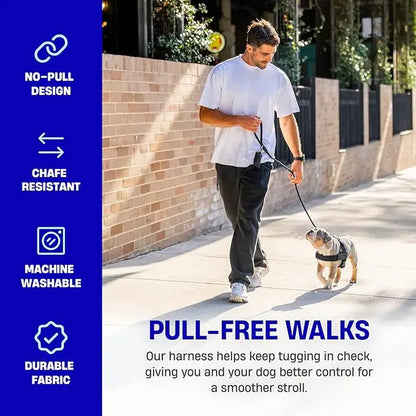 Dog Friendly Co. Harness - Easy to Fit No-Pull Design - Safe Secure and Comfortable - Ideal for All Dogs - Chafe-Resistant Lightweight Straps - Adjustable Straps for Perfect Fit
