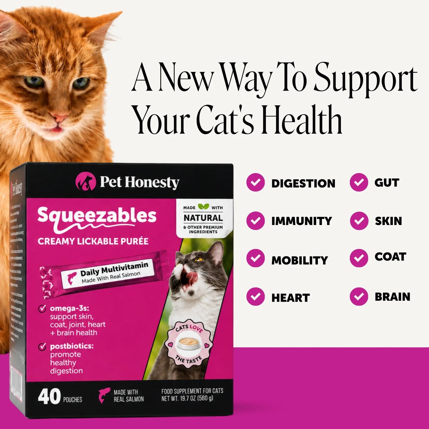 Pet Honesty Squeezables Lickable Multivitamin Supplements for Cats, 40 Pouches