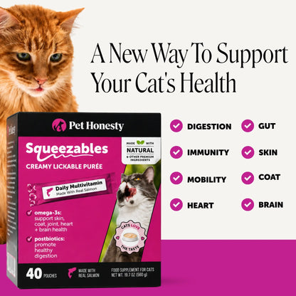 Pet Honesty Squeezables Lickable Multivitamin Supplements for Cats, 40 Pouches