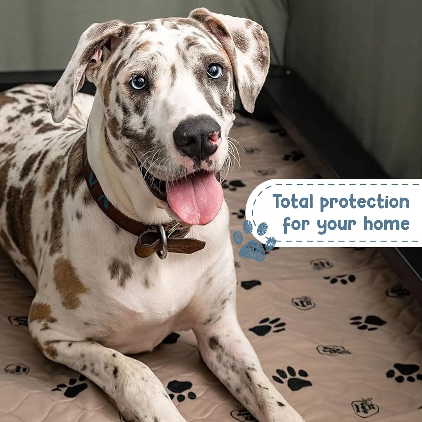 Reusable Washable Dog Pee Pads - Waterproof 24"x36" Mat, 2-Pack for Potty Training and Whelping with Rounded Corners