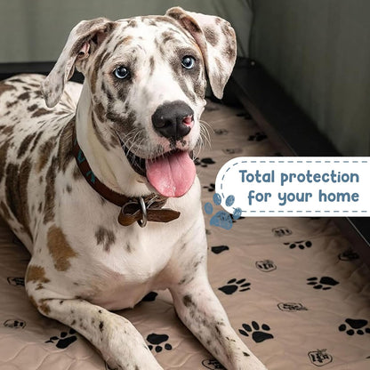 Reusable Washable Dog Pee Pads - Waterproof 24"x36" Mat, 2-Pack for Potty Training and Whelping with Rounded Corners