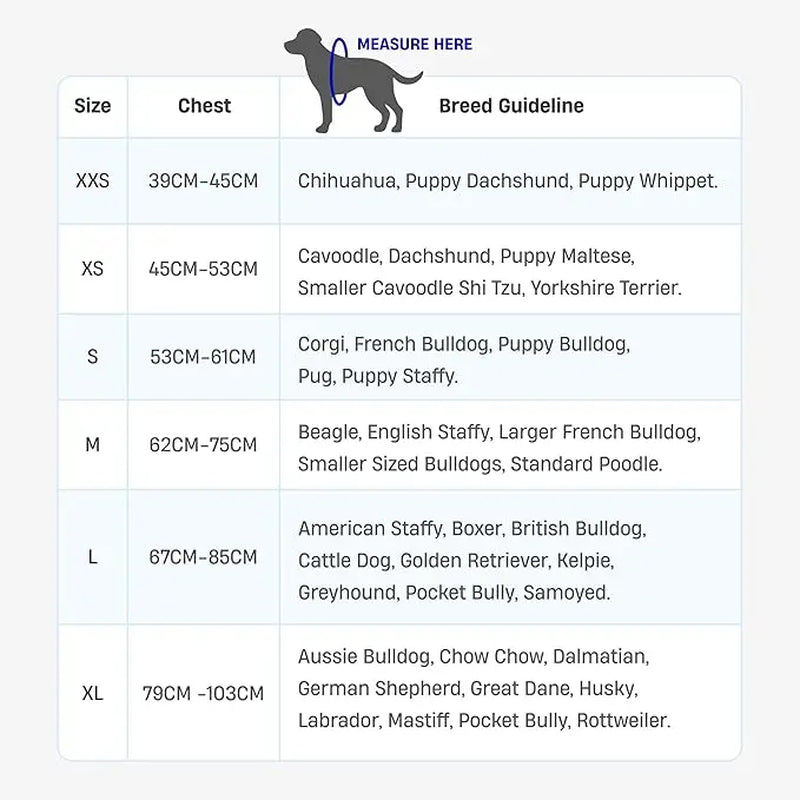 Dog Friendly Co. Harness - Easy to Fit No-Pull Design - Safe Secure and Comfortable - Ideal for All Dogs - Chafe-Resistant Lightweight Straps - Adjustable Straps for Perfect Fit