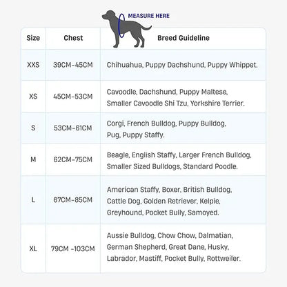 Dog Friendly Co. Harness - Easy to Fit No-Pull Design - Safe Secure and Comfortable - Ideal for All Dogs - Chafe-Resistant Lightweight Straps - Adjustable Straps for Perfect Fit