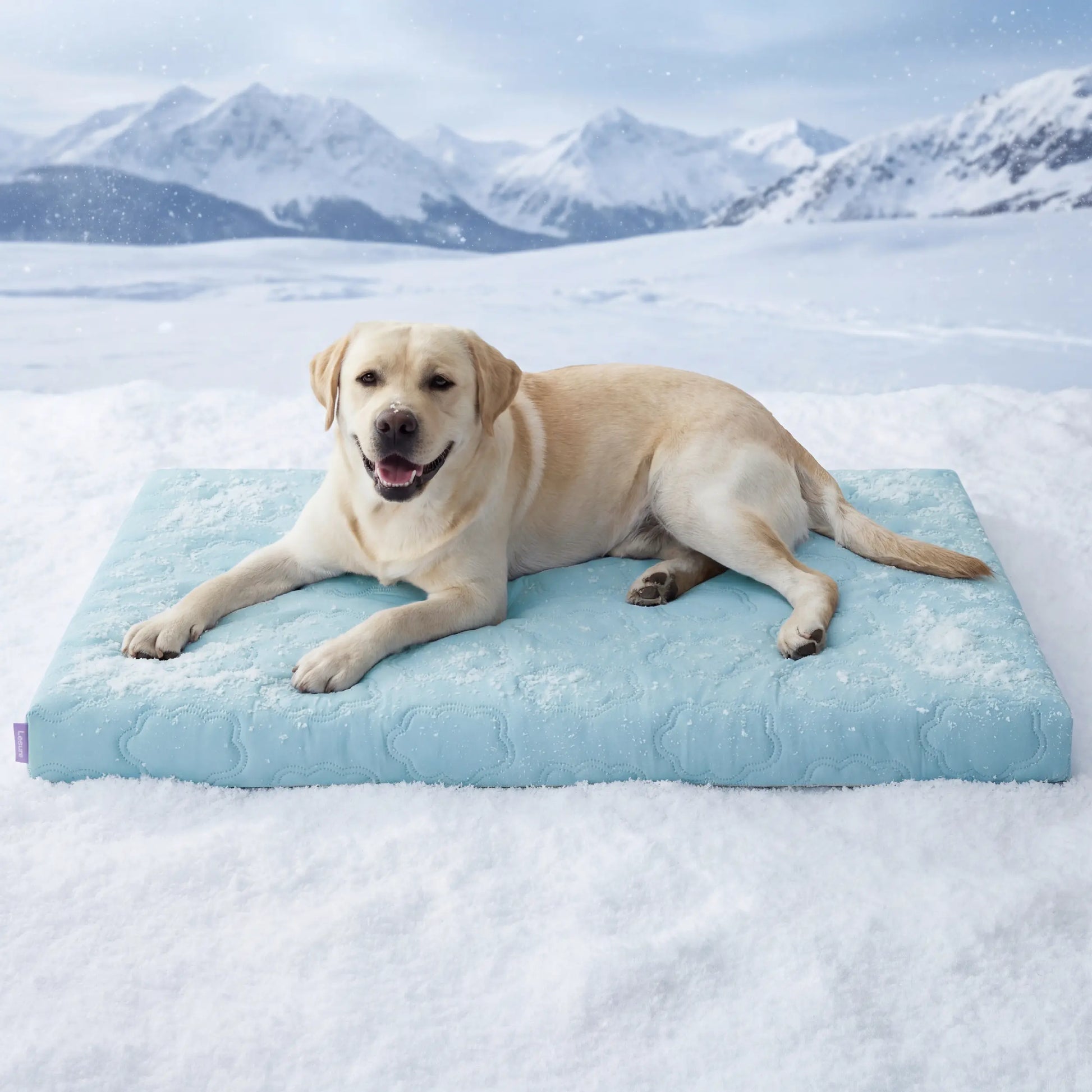 Bedsure Cooling Dog Blanket - Keeps Pets Cool, Lightweight Design, Breathable & Washable